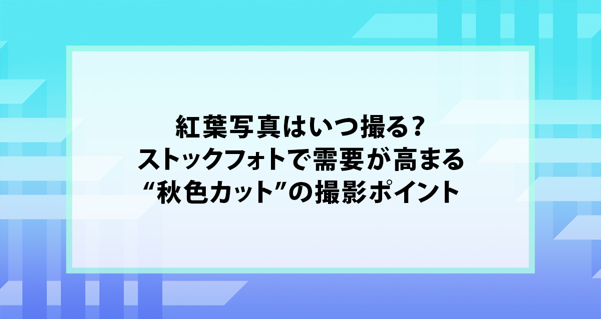 紅葉写真はいつ撮る？ストックフォトで需要が高まる“秋色カット”の撮影ポイント