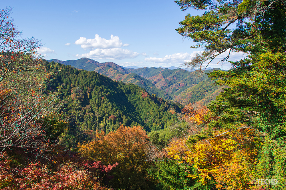 高尾山中腹の展望台から望む山々の紅葉。赤・黄・緑の層が広がる秋の山並みと澄んだ青空の景色。