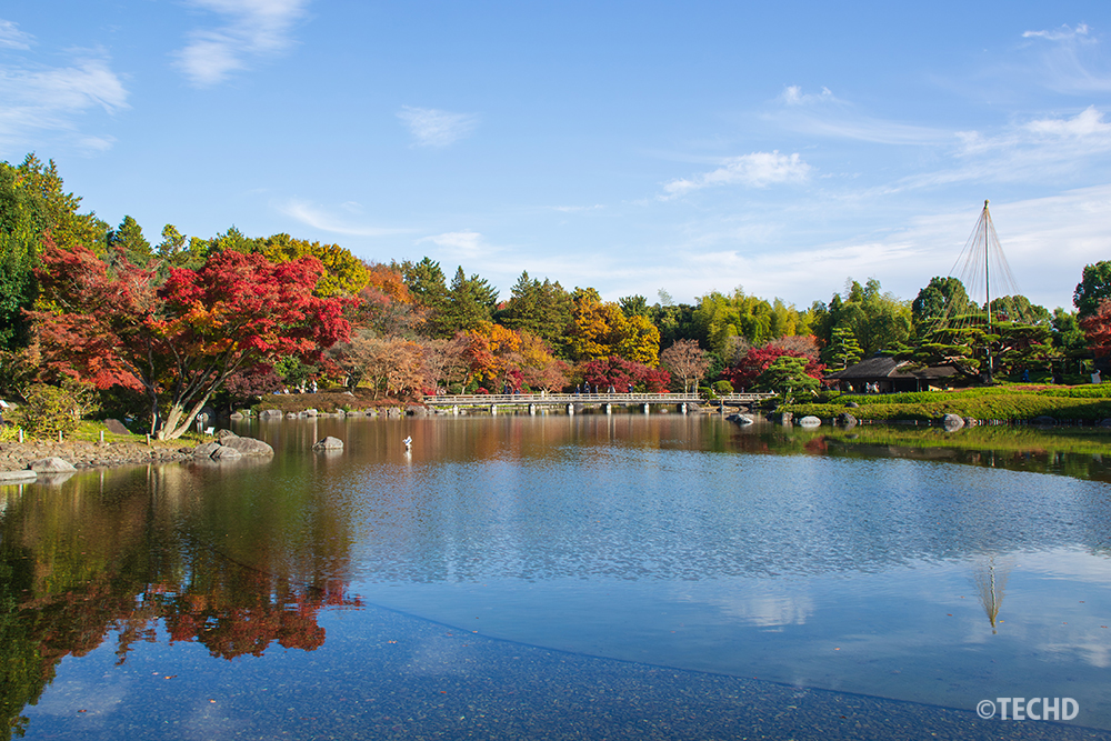 昭和記念公園日本庭園の池に映り込む紅葉と青空。静寂に包まれた秋の「逆さ紅葉」の景色。