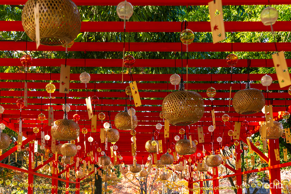 赤いフレームに吊るされた風鈴と金色の飾りが並ぶ秋の昭和記念公園の装飾。光に反射して輝く幻想的な風景。