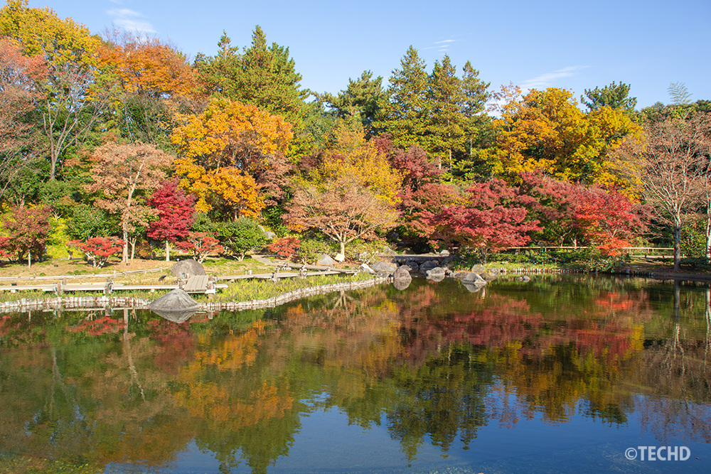 秋色に染まった日本庭園の紅葉が池の水面に反射し、鮮やかな赤・黄・橙が鏡のように映り込む静かな風景。