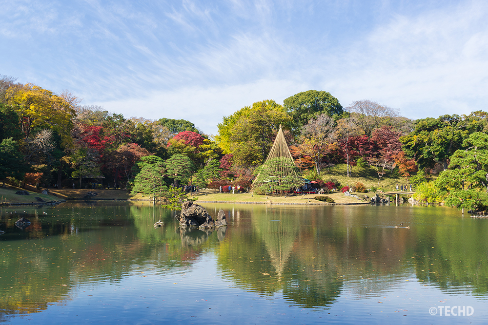 六義園の池を中心に、赤・橙・黄に色づいた木々が水面に美しく映り込む様子を撮影した写真。雪吊りの松が秋の景観にアクセントを添えている。