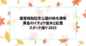 国営昭和記念公園の秋を満喫｜黄金のイチョウ並木と紅葉スポット巡り 2025