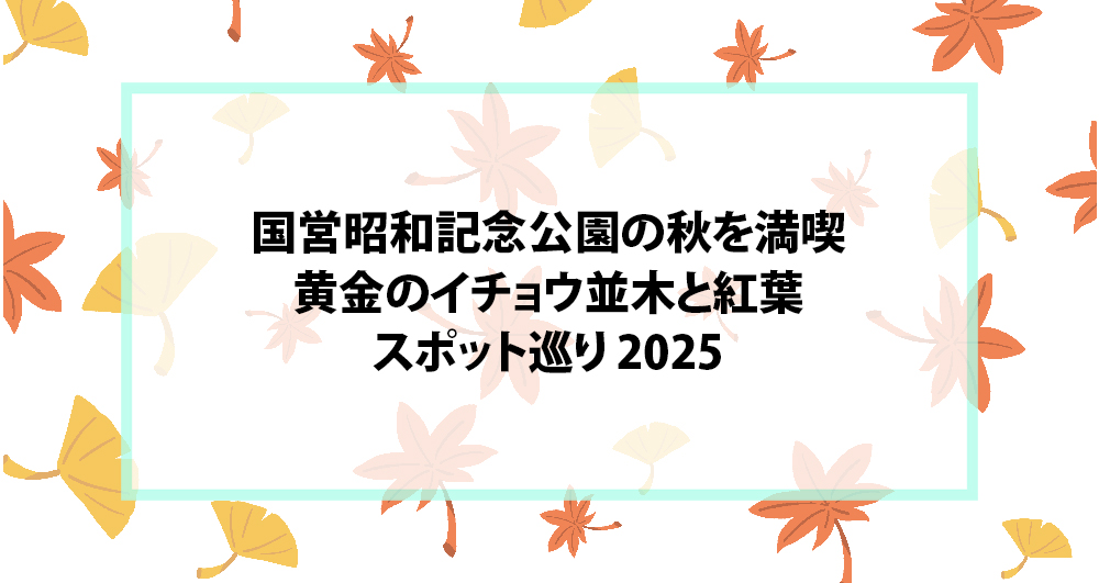国営昭和記念公園の秋を満喫｜黄金のイチョウ並木と紅葉スポット巡り 2025