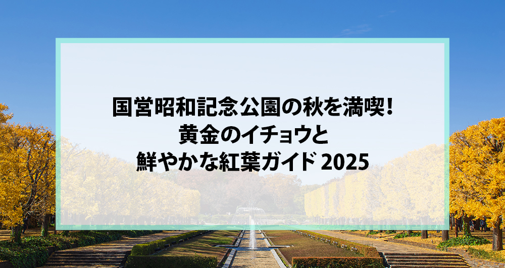 国営昭和記念公園の秋を満喫！黄金のイチョウと鮮やかな紅葉ガイド 2025