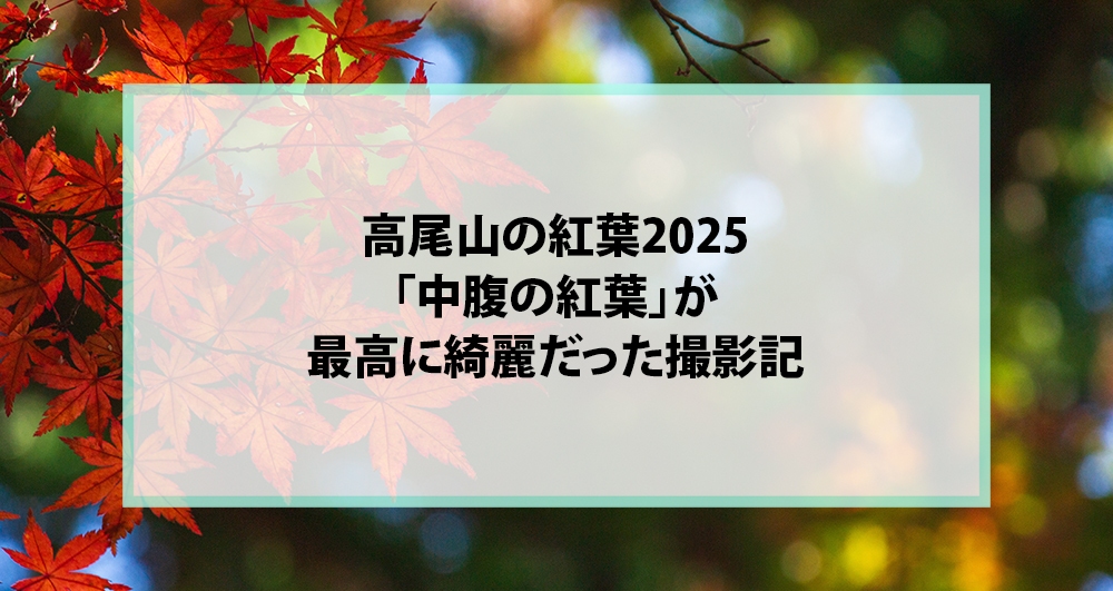 高尾山の紅葉2025｜「中腹の紅葉」が最高に綺麗だった撮影記