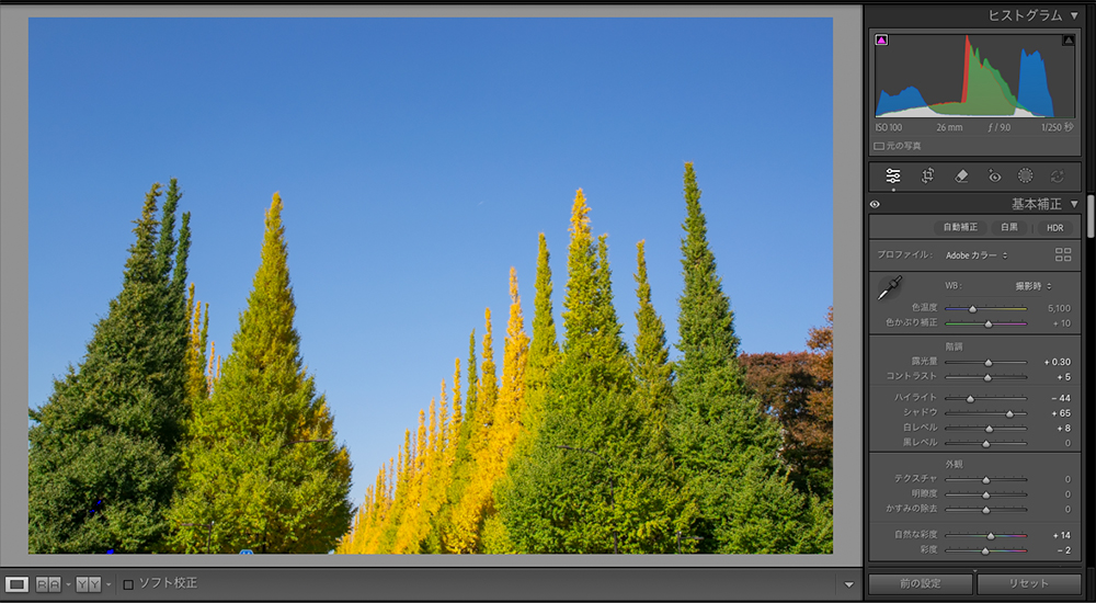 Lightroom Classicでレタッチした画面