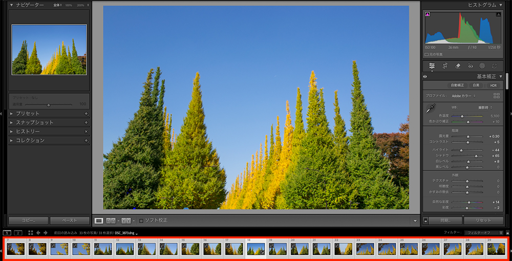 Lightroom Classicの編集画面。画面下の赤枠で囲まれた部分で、全33枚の画像が同期のために選択されている状態