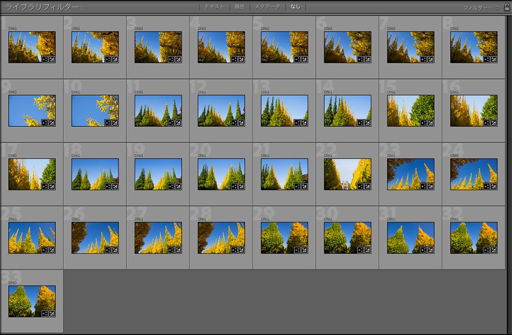 バッチ処理完了後、33枚の銀杏と青空の写真に一括レタッチが反映されたLightroom Classicのライブラリ画面