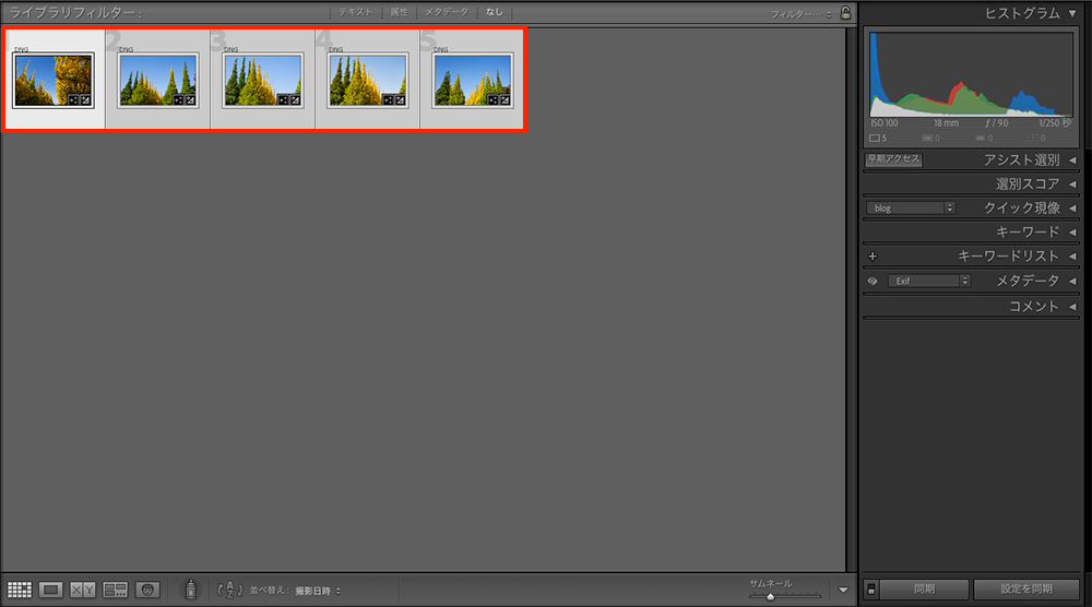 ライブラリフィルターで書き出したい5枚の画像をすべて選択し、一括書き出しの準備をしているLightroomの画面