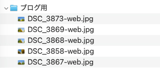 ファイル名の末尾に「-web.jpg」が付与され、Web公開用であることが一目で判別できる書き出し済みファイル一覧