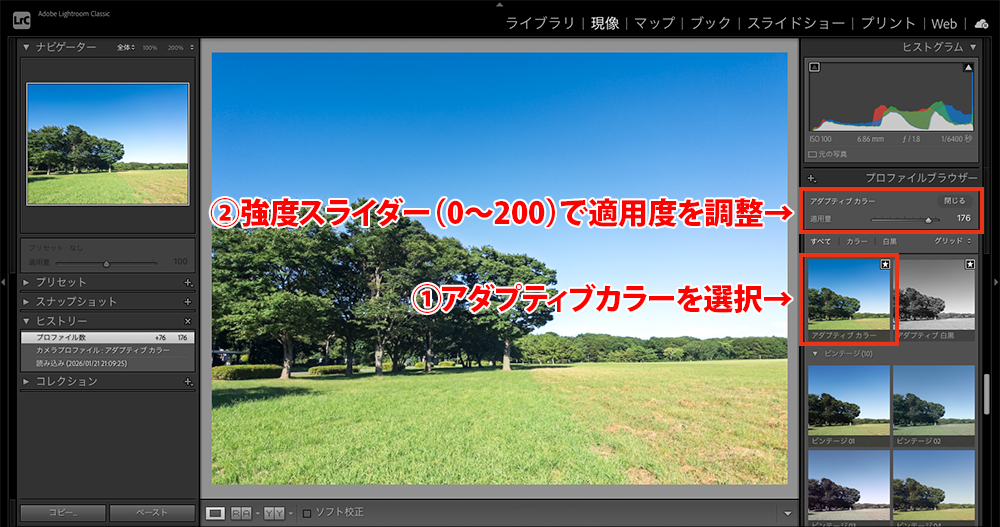 「アダプティブプロファイル」の手順について説明している。