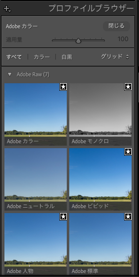 Lightroom Classicのプロファイルブラウザーの操作パネル。