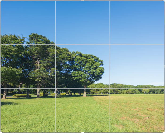 Lightroomのトリミングの操作で4:5の大きさでトリミングされている