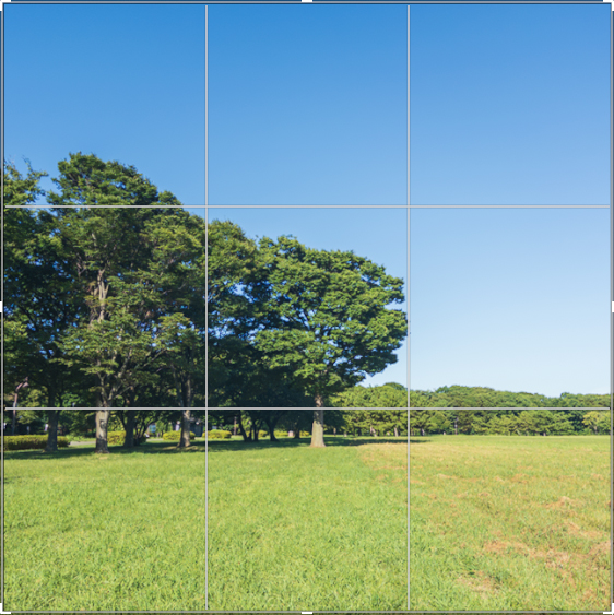 Lightroomのトリミングの操作で1:1の大きさでトリミングされている