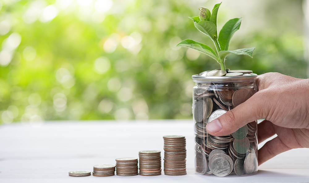 階段状に積み上げられた硬貨と、若葉が芽吹いた小銭入りの瓶を持つ手。1枚の写真が10年かけて大きな利益を生む「資産の成長」を象徴するイメージ。