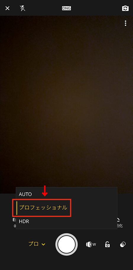 Lightroomカメラの設定で「プロフェッショナル」を選択しているスマホの操作画面。
