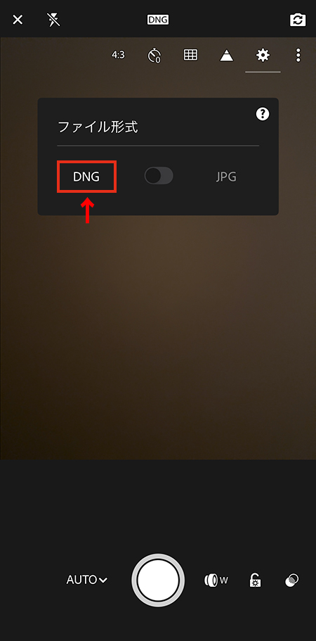 Lightroomカメラの設定で「DNG」形式を選択しているスマホの操作画面。