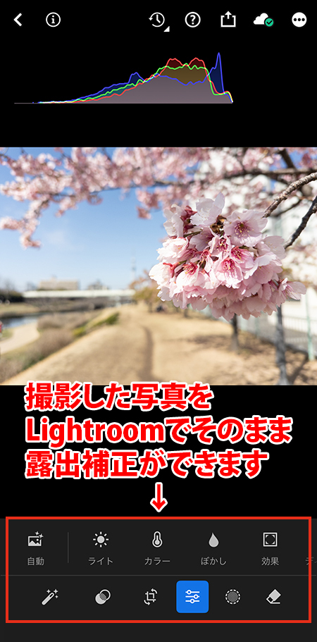スマホ版Lightroomの画像編集画面。桜の写真を表示し、下部の「ライト」や「カラー」などの露出補正メニューを赤枠で強調している様子。