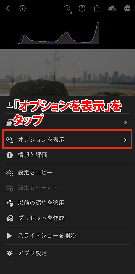 Lightroomカメラのヒストグラムの設定で「オプションを表示」をタップしているスマホの操作画面。