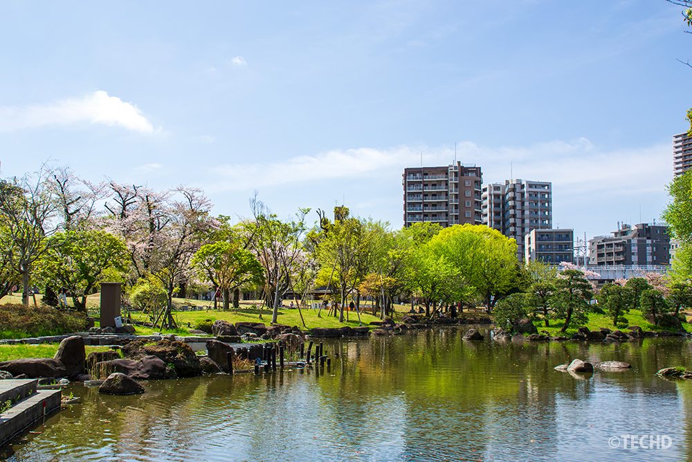 墨田区立隅田公園のひょうたん池。池の周囲には新緑の木々が広がり、水面に緑が反射する初夏のような公園の風景。