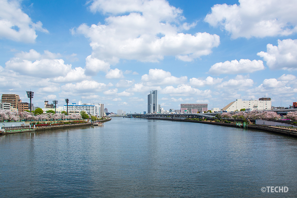 桜橋から白鬚橋方面を望む隅田川のパノラマ。豊かな水面と両岸の桜並木、ダイナミックな白い雲と青空。