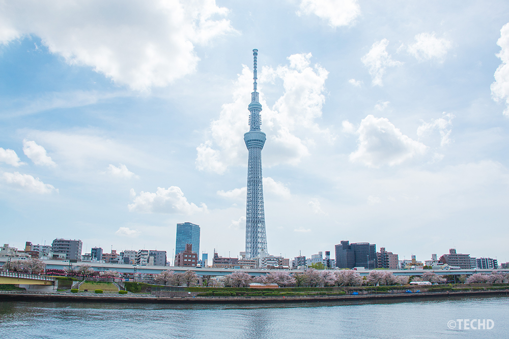 桜橋の上から見た、隅田川沿いの桜並木と東京スカイツリー。明るい日差しと白い雲が広がる開放的な川の風景。