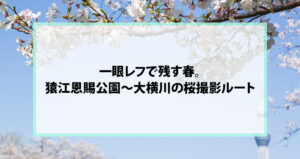 一眼レフで残す春。猿江恩賜公園〜大横川の桜撮影ルート