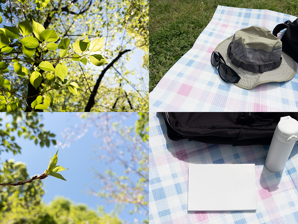 iPhoneのLightroomカメラで撮影した写真AC用素材4枚(新緑、帽子とサングラス、ノートと水筒、若葉)